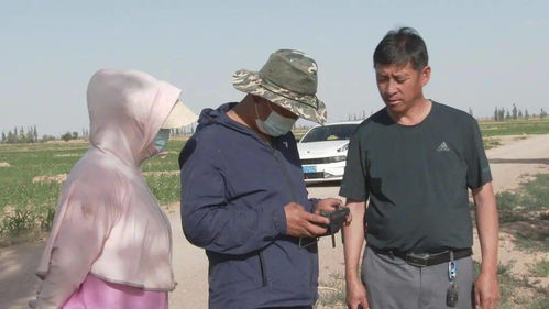 騰格里經濟技術開發(fā)區(qū) 無人機撒藥技術開發(fā)助力農業(yè)提質增收